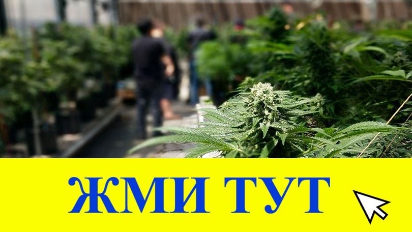 Купить наркотики в Томске